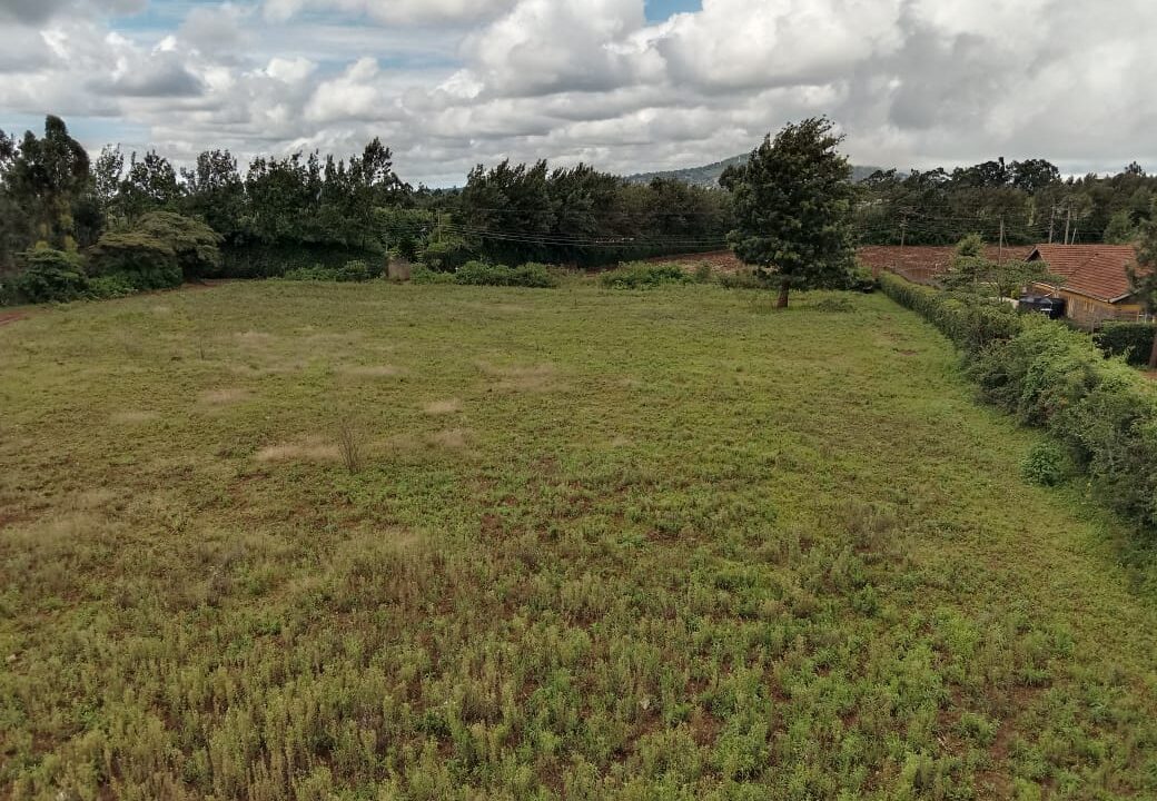 WhatsApp Image 2025-05-28 at 8.56.31 PM