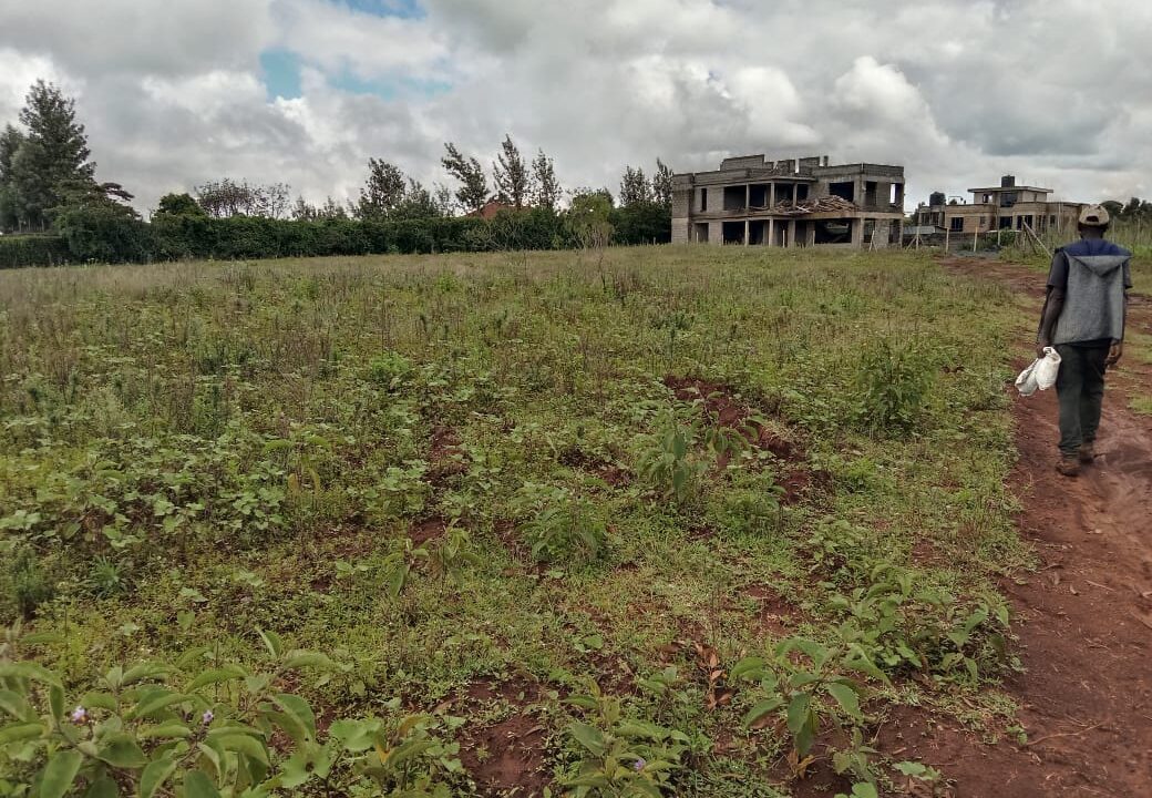 WhatsApp Image 2025-05-28 at 8.56.33 PM