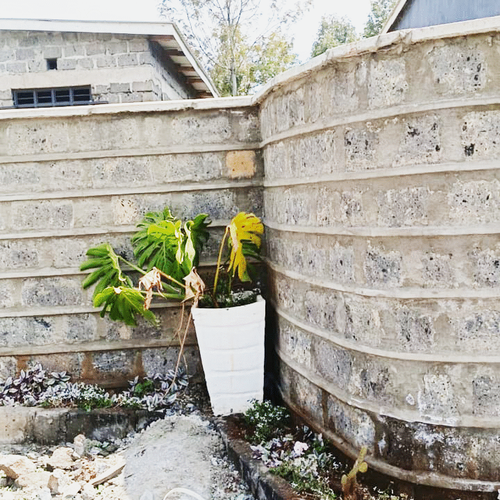 Perimeter wall and vase