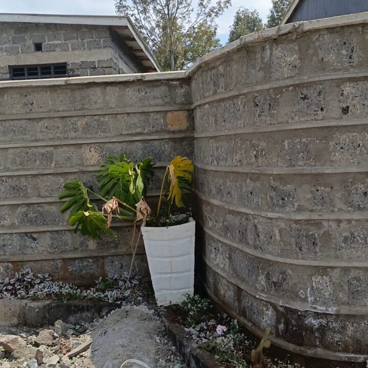 WhatsApp Image 2025-07-29 at 6.19.19 PM